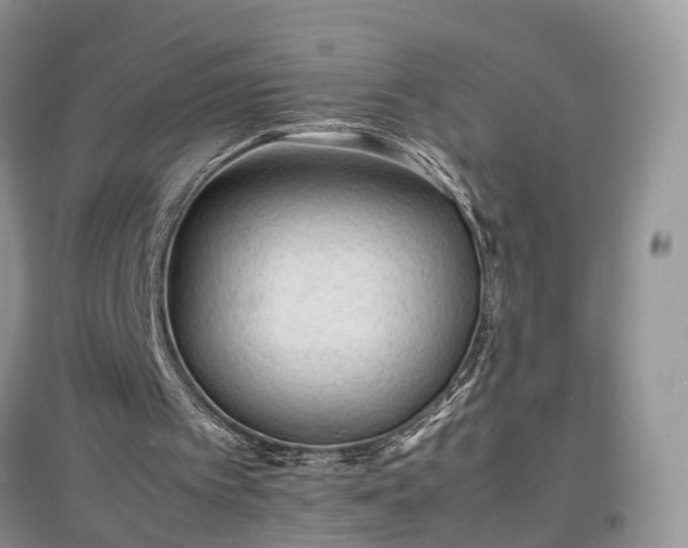 X0000097620097200803071518