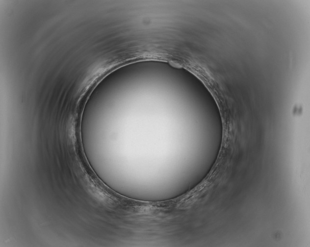 X0000097620098200803071518