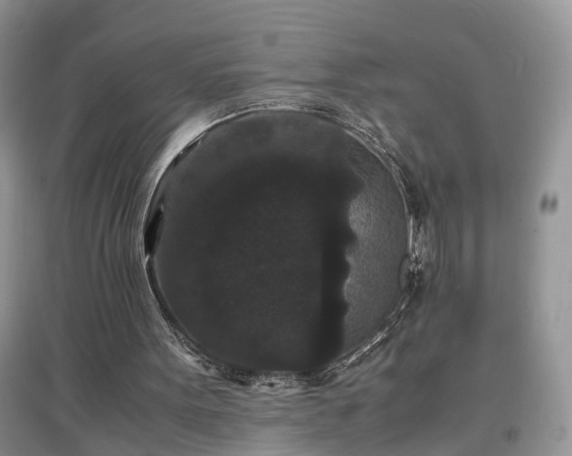 X0000097620099200803071518
