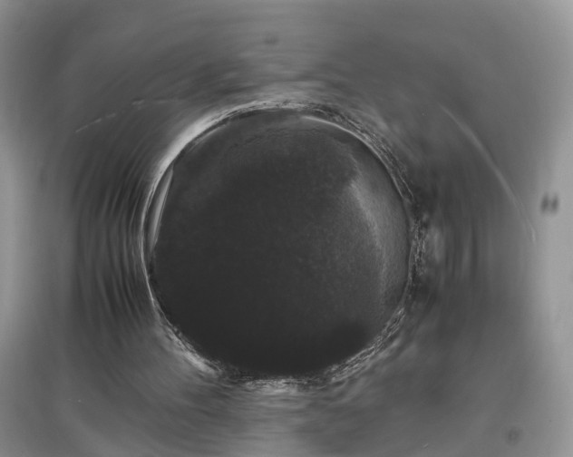 X0000097620100200803071518