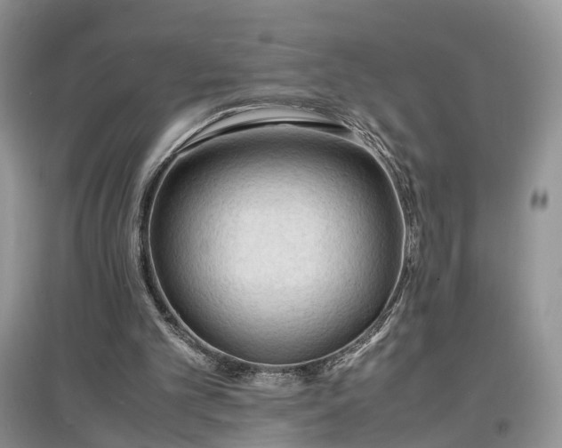 X0000097620101200803071518
