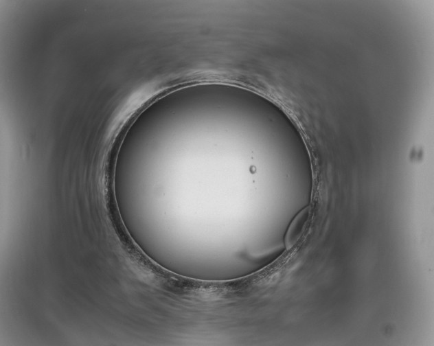 X0000097620103200803071518