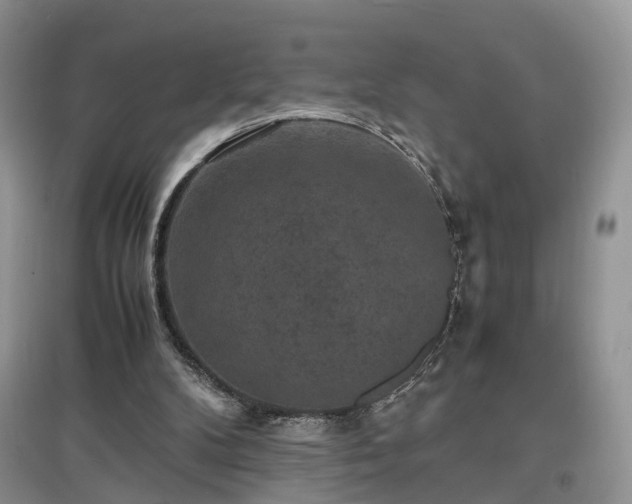 X0000097620104200803071518