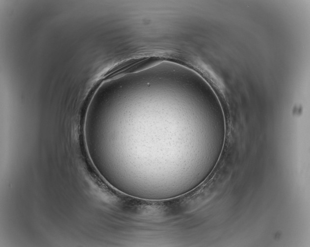 X0000097620107200803071518