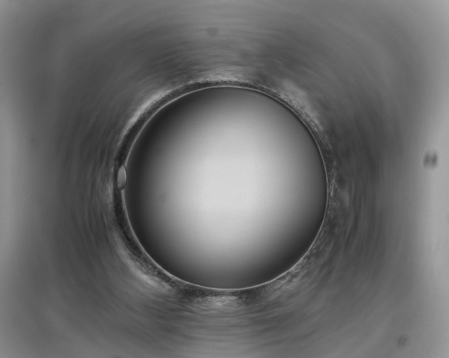X0000097620108200803071518