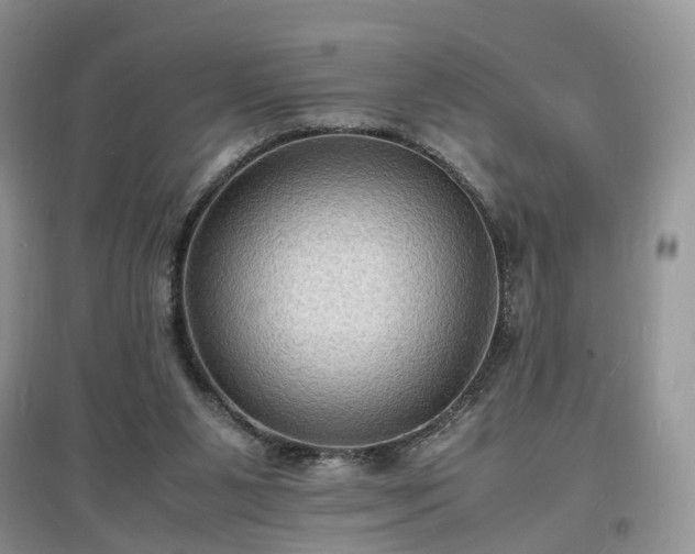 X0000097620111200803071518