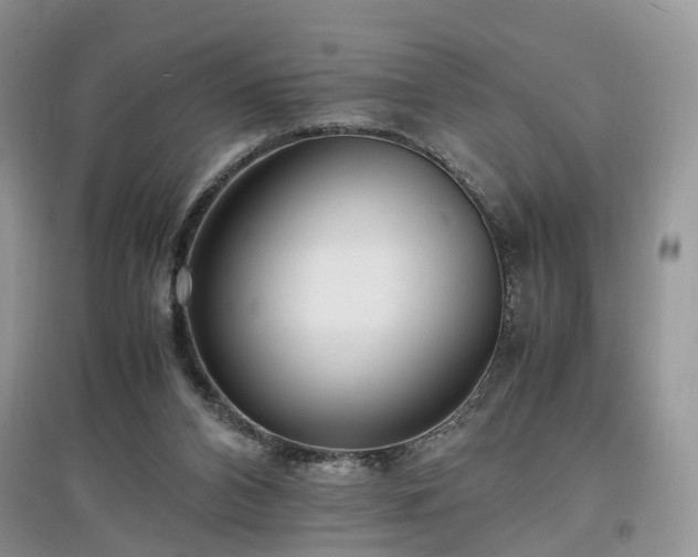 X0000097620112200803071518