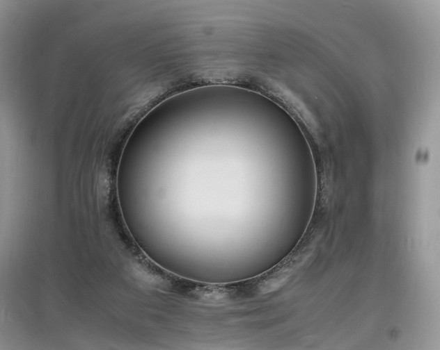 X0000097620113200803071518