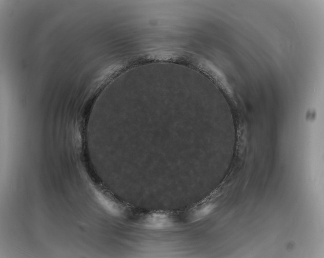X0000097620114200803071518