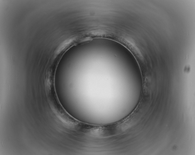 X0000097620116200803071518