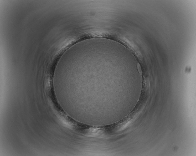 X0000097620117200803071518