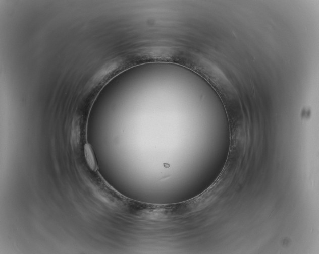 X0000097620120200803071518