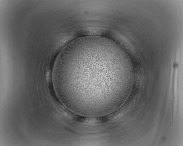 X0000097620123200803071518