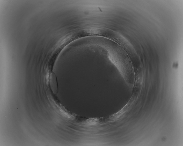 X0000097620124200803071518