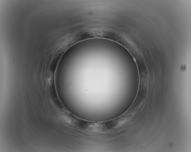 X0000097620125200803071518
