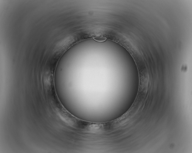 X0000097620126200803071518