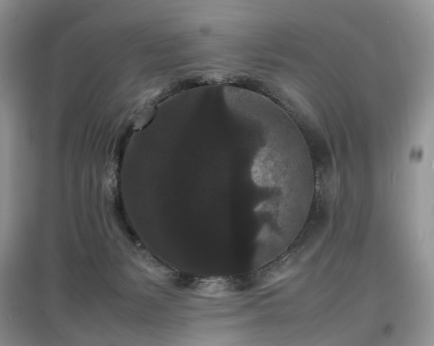 X0000097620127200803071518