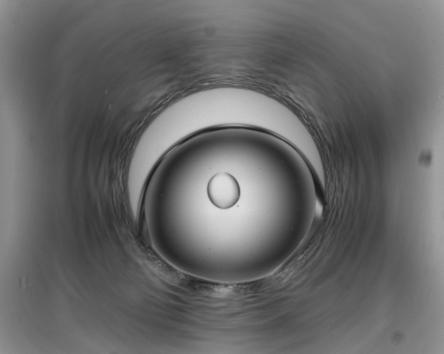 X0000097620130200803071518
