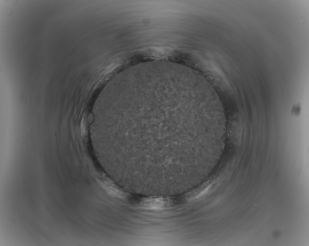 X0000097620131200803071518