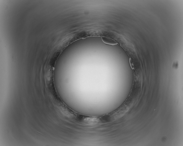 X0000097620133200803071518