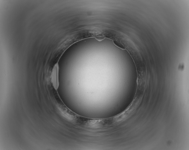 X0000097620136200803071518