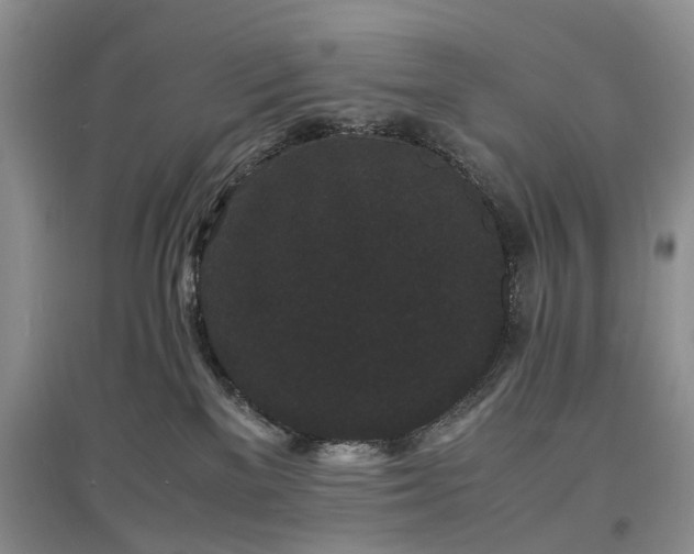 X0000097620137200803071518