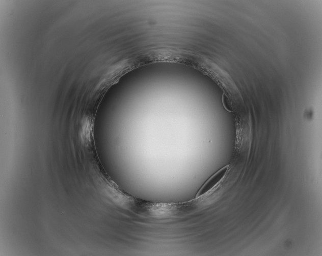 X0000097620142200803071518