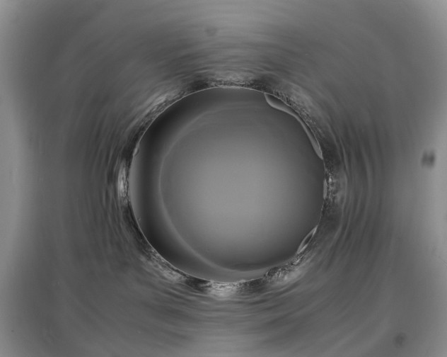 X0000097620143200803071518