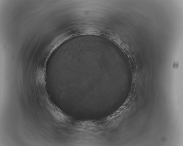 X0000097620146200803071517