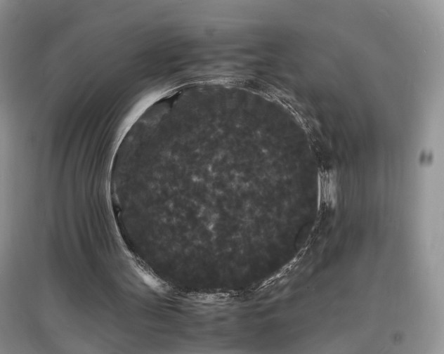 X0000097620147200803071517