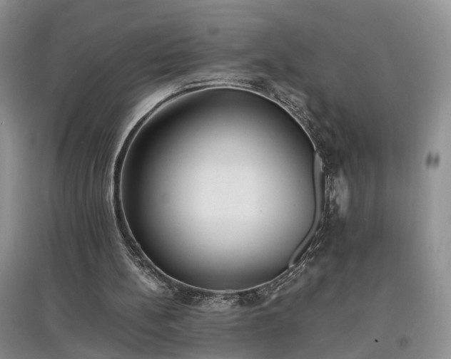 X0000097620148200803071517