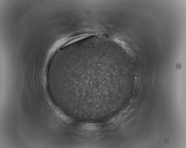 X0000097620149200803071517