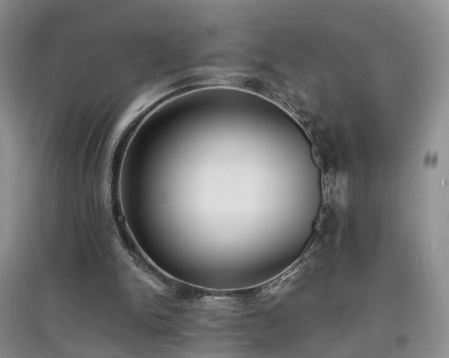 X0000097620150200803071517