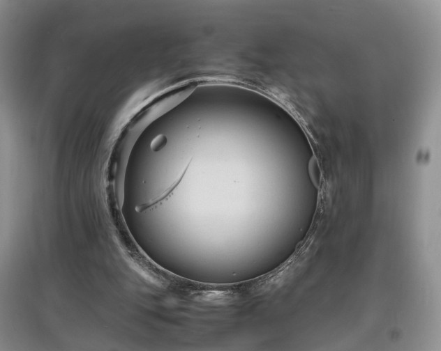 X0000097620151200803071517