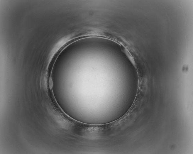 X0000097620152200803071517