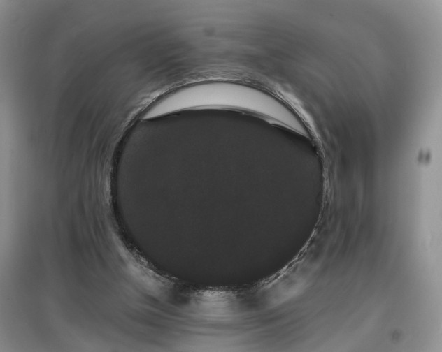X0000097620154200803071517