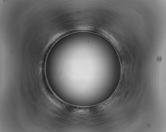 X0000097620155200803071517