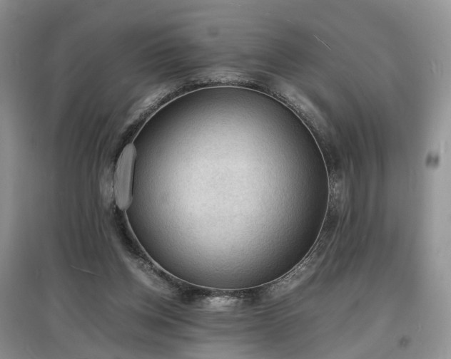 X0000097620158200803071517