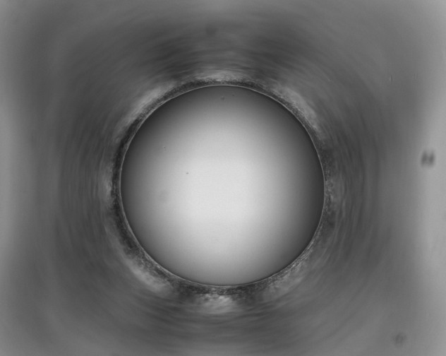 X0000097620159200803071517