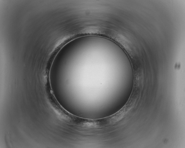 X0000097620160200803071517