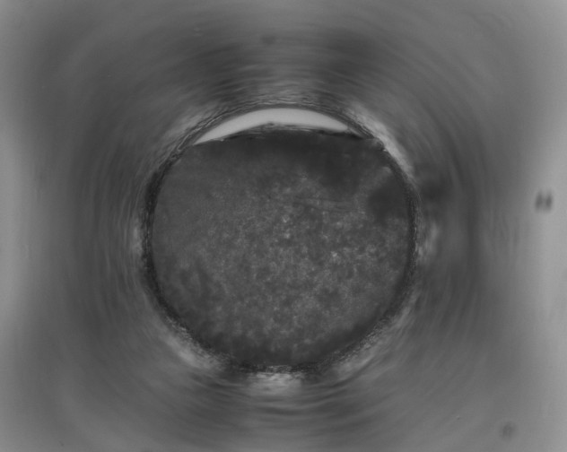 X0000097620161200803071517