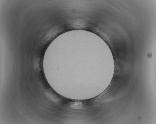 X0000097620162200803071517