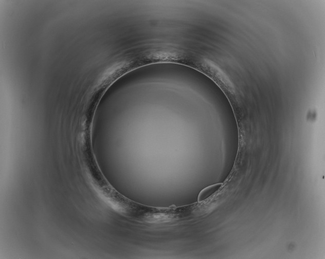 X0000097620163200803071517