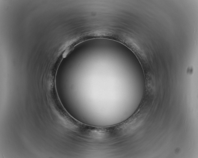 X0000097620164200803071517