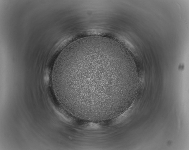 X0000097620166200803071517