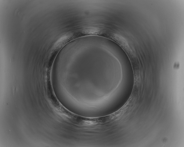 X0000097620167200803071517