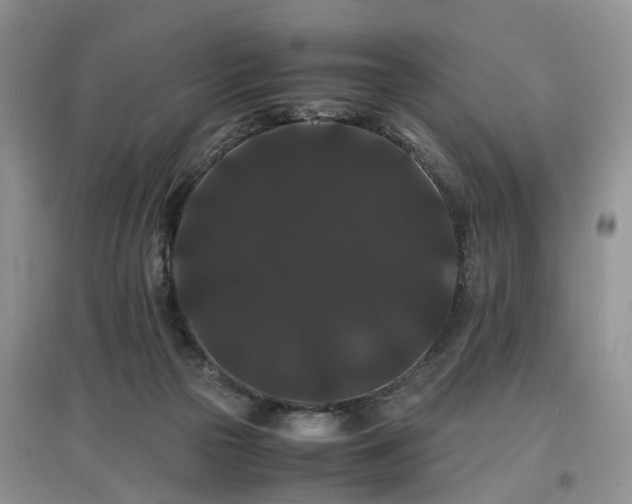 X0000097620169200803071517