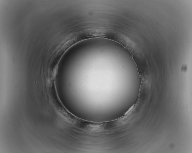 X0000097620170200803071517