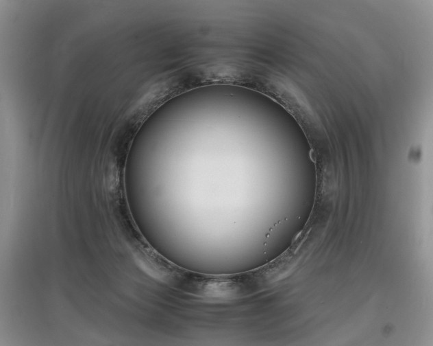 X0000097620173200803071517