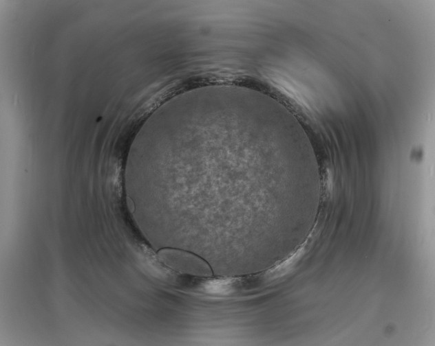 X0000097620178200803071518
